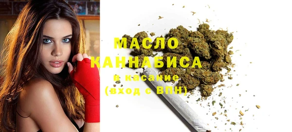 стаф Гусь-Хрустальный
